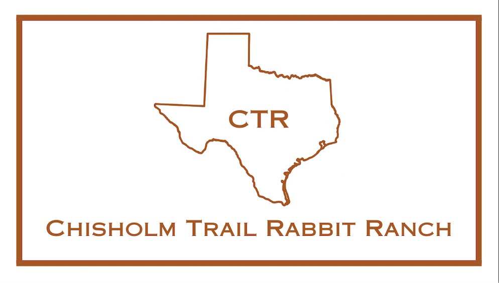 rabbitlogopng