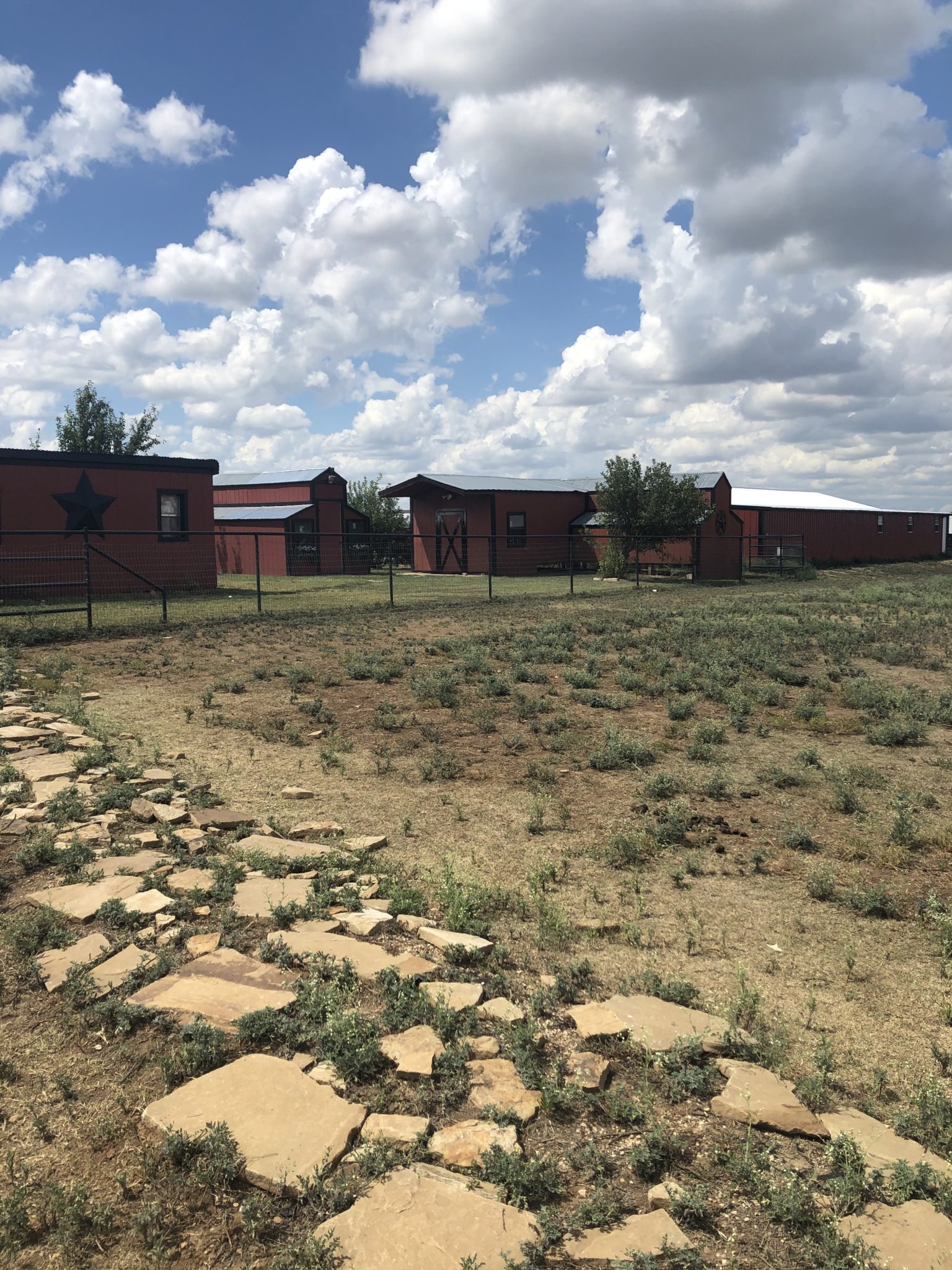 Trail Rabbit Ranch Rabbits run here